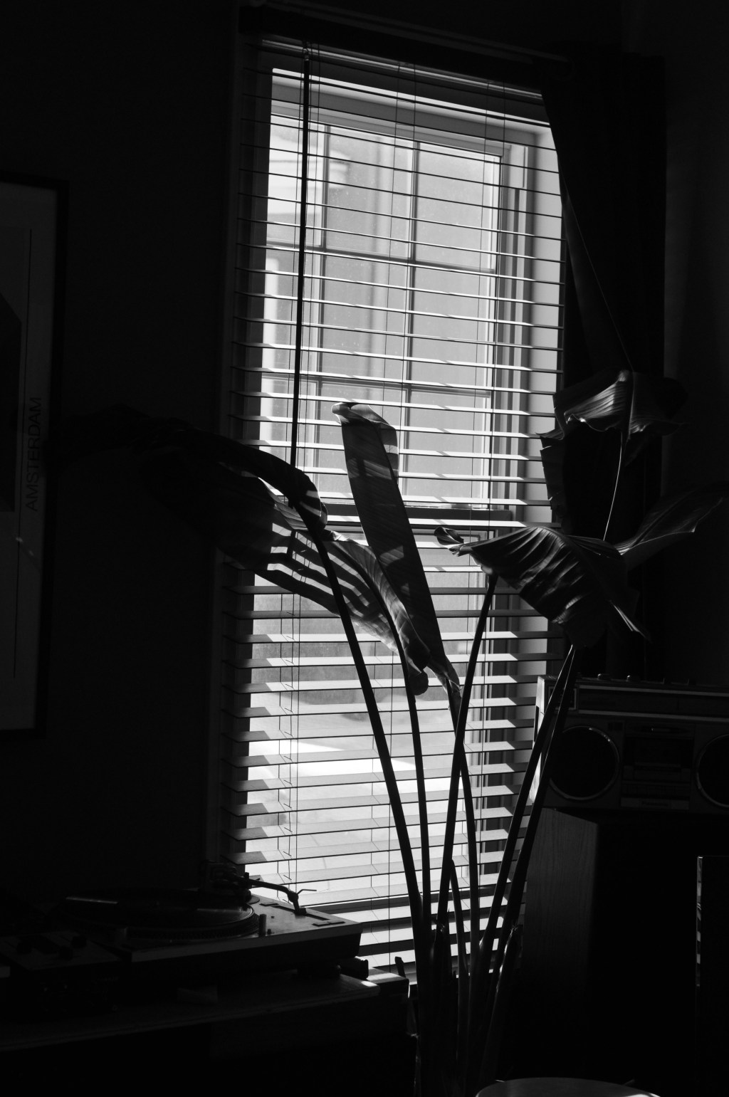 Through the Looking&nbsp;Glass